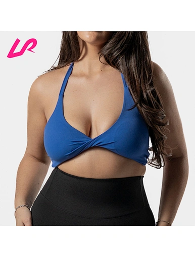 good sports bras for big bust